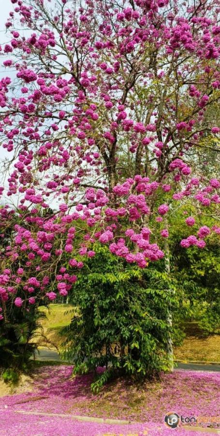 Piccola Pousada Águas de São Pedro Exterior foto
